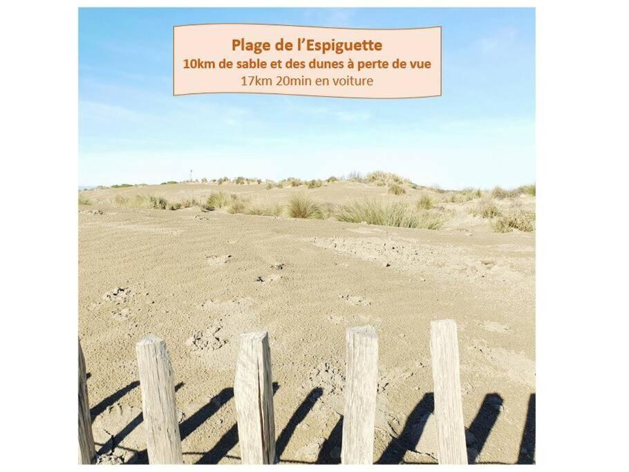 Suite Maya Parking Clim Wifi Centre-Ville Et Port - Rossiconciergerie - Linge Inclus Ла-Гранд-Мот Экстерьер фото