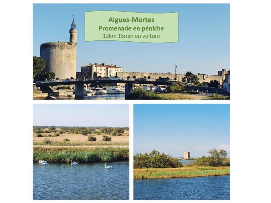 Suite Maya Parking Clim Wifi Centre-Ville Et Port - Rossiconciergerie - Linge Inclus Ла-Гранд-Мот Экстерьер фото